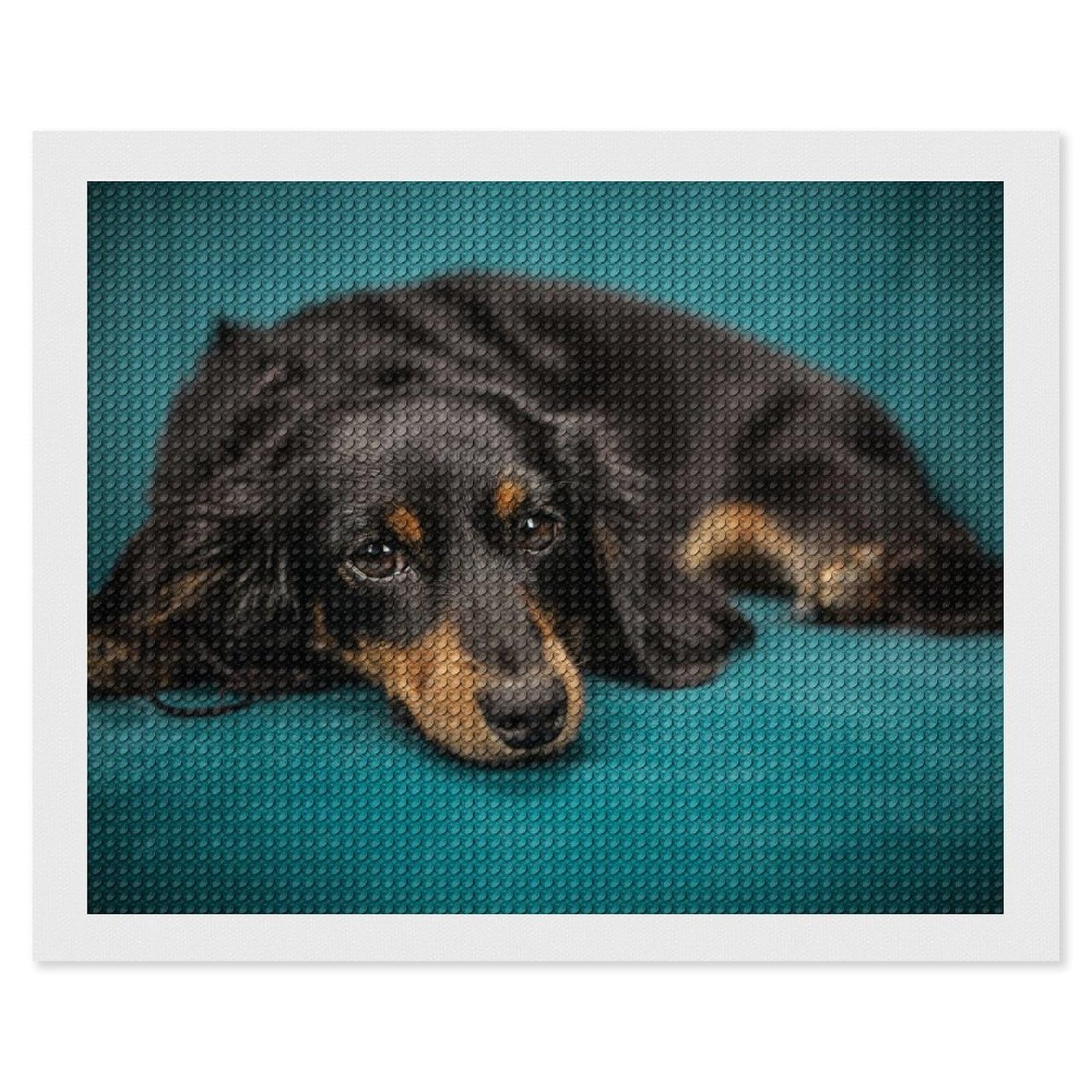 Amazon.co.jp: ダイヤモンドアート ソファーの上でくつろぐ ダックス