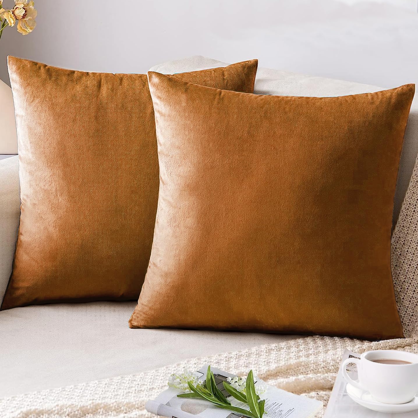 AUSSPVOCT Velvet Throw Pillow Covers 16 x 16 Set of 2, Soft