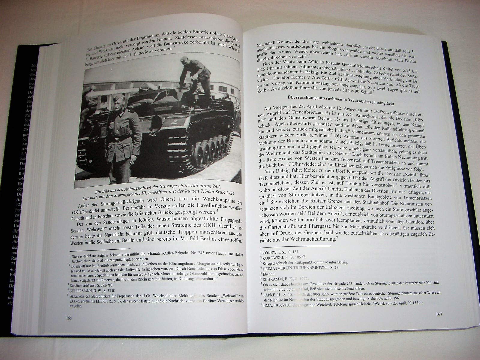 19 Tage Krieg: Die RAD-Infanteriedivision "Friedrich Ludwig Jahn" in der Lücke zwischen 9. und 12. Armee - Die Mark Brandenburg im Frühjahr 1945