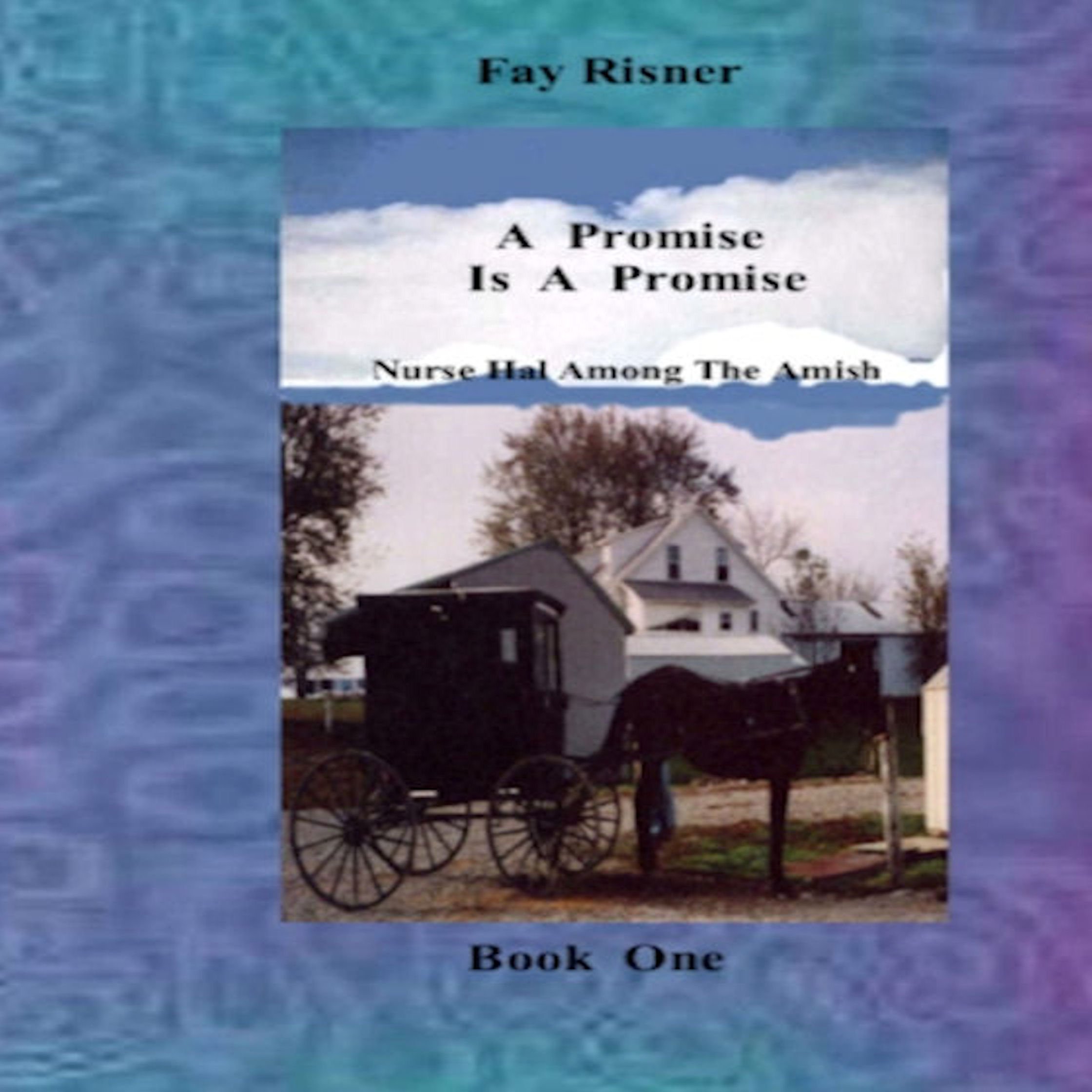 A Promise Is A Promise: Nurse Hal Among The Amish