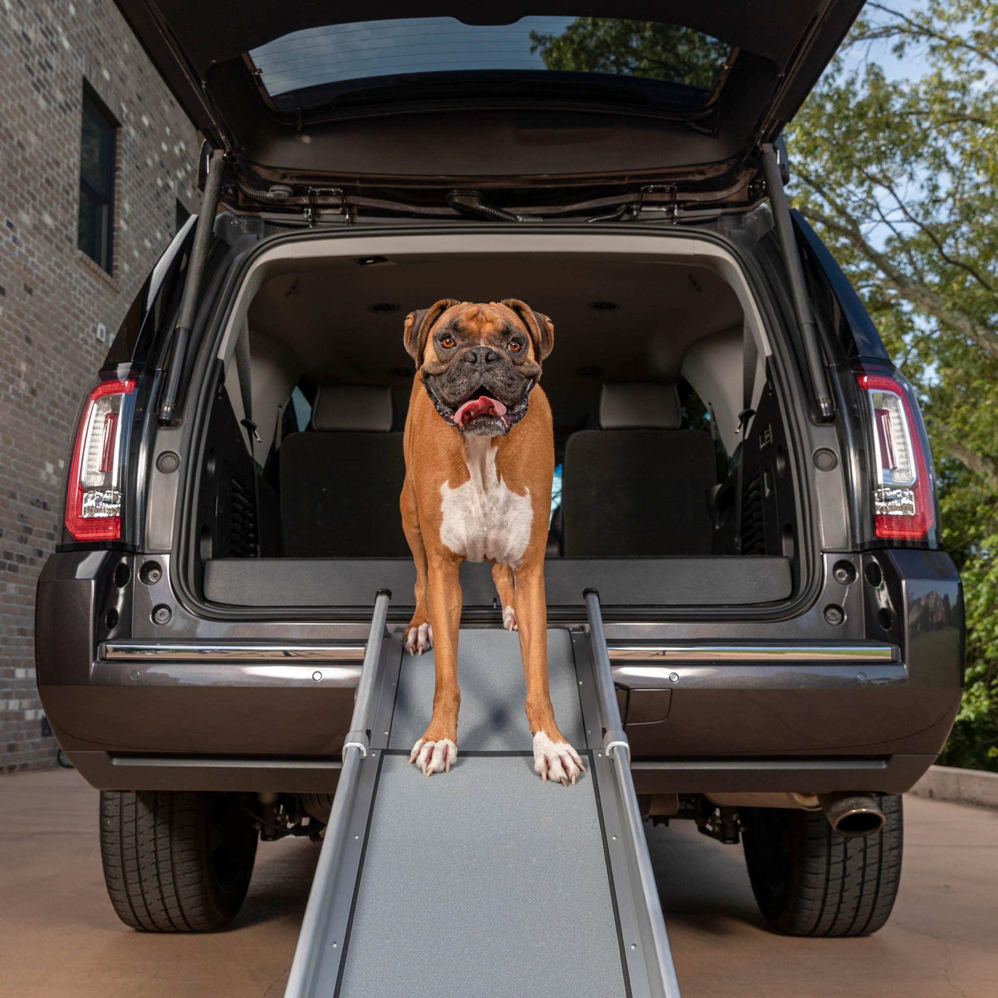 PetSafe Rampe télescopique compacte Happy Ride pour Chien 1 Unité