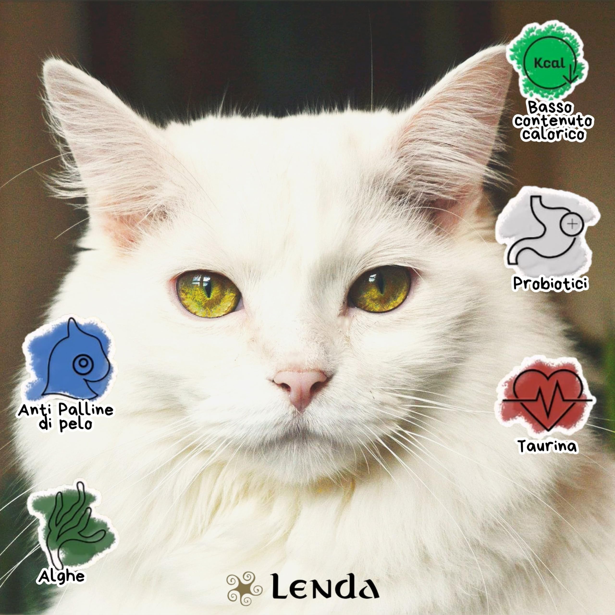 Lenda Gatto Adult Light & Sterilized 7 kg - Crocchette Senza Cereali per Gatti Adulti Sterilizzati o in Sovrappeso - Cibo Basso Contenuto Calorico - Con Condroprotettori - Croccantini Naturale