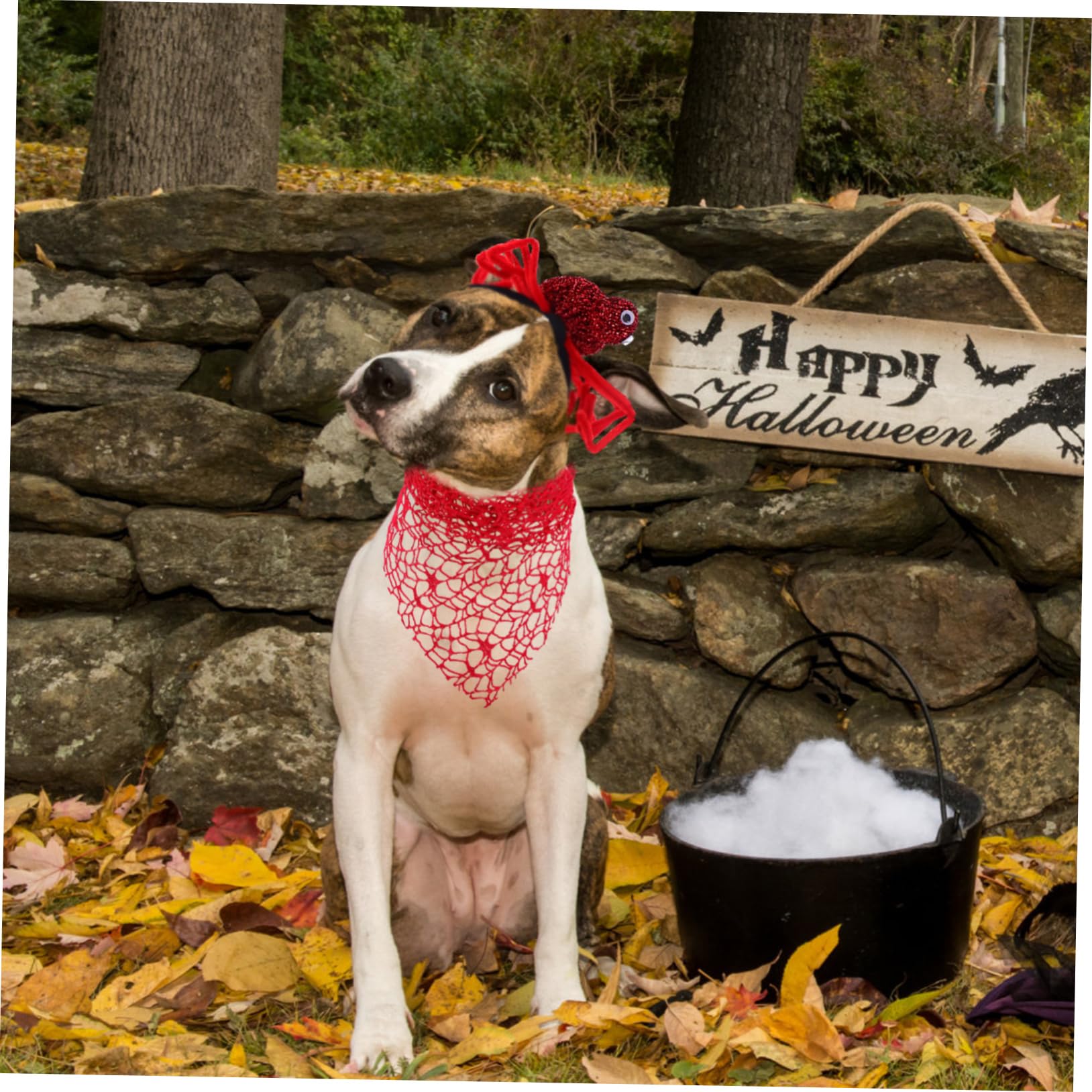 Toyvian 2pcs Bandana d'halloween pour Chien en Polyester Rouge Motifs Araignée et Spectre, Accessoires Confortables et Festifs pour Événement Trick-Or-Treating