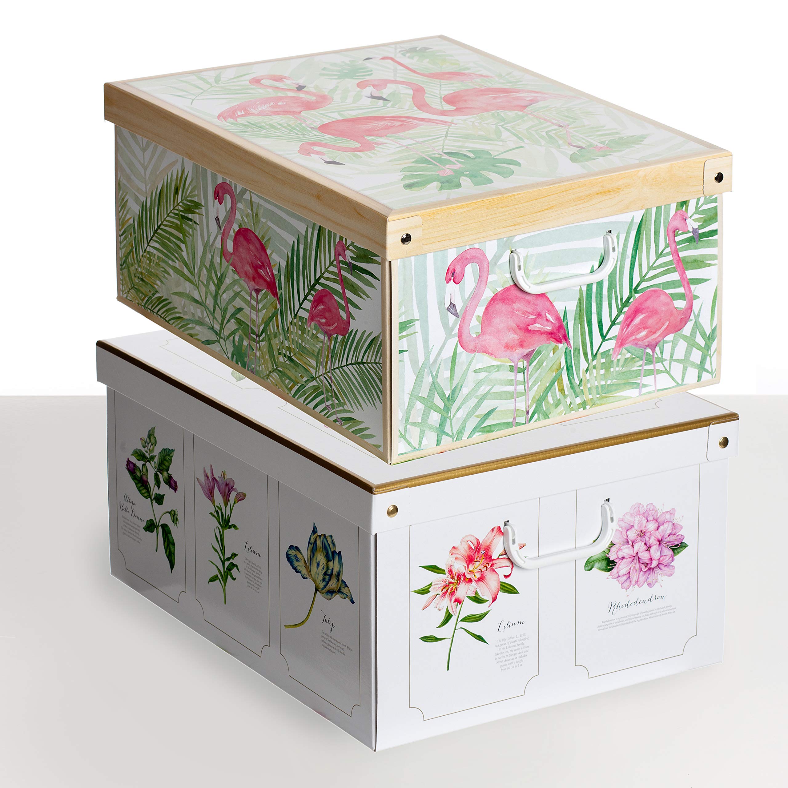 Lavatelli Collection Rosa Camellias Decorative Storage Boxes with Lids and Handles – Set of 2 Cardboard Boxes for Clothes, Toys, Home or Office Organisation, Color 6