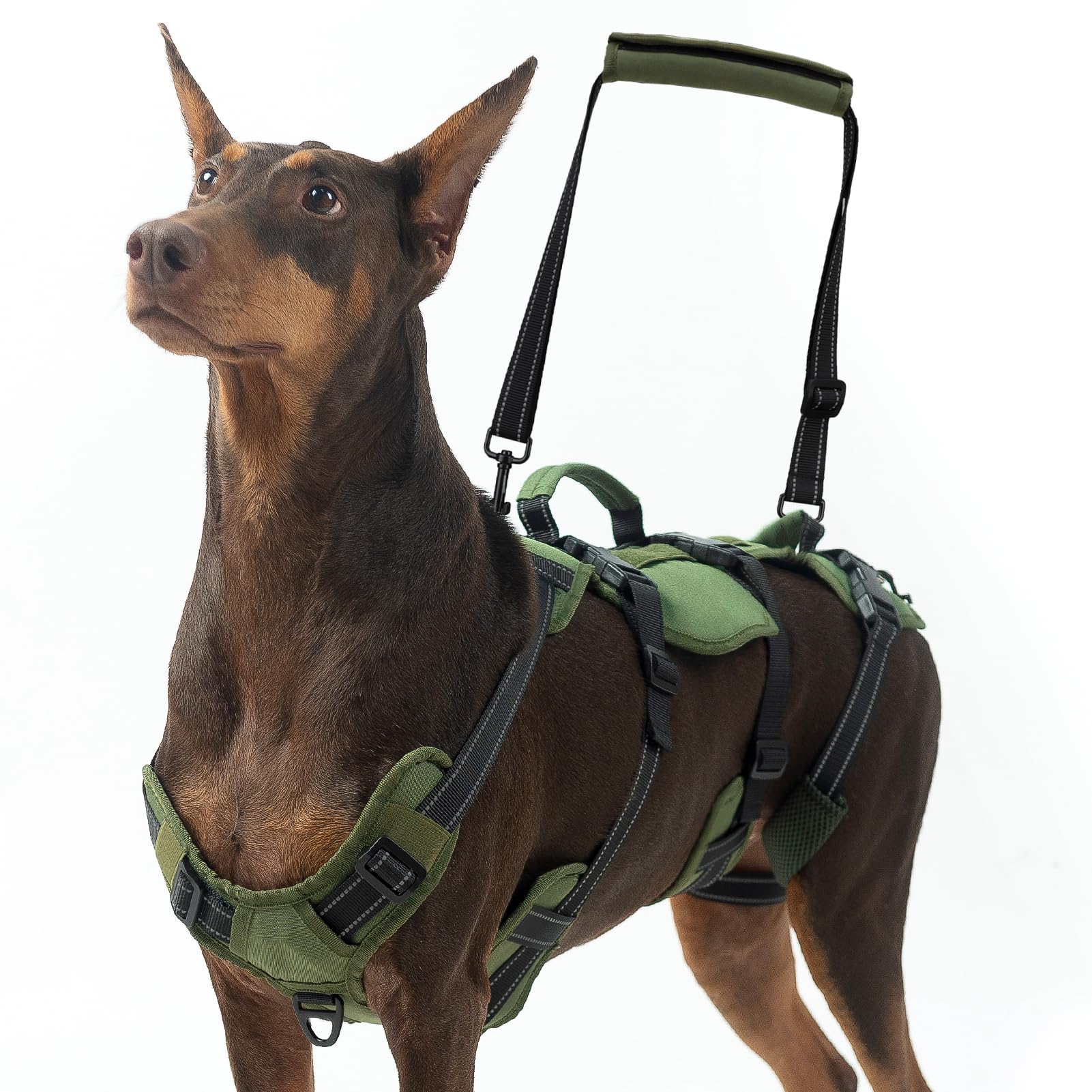 BINGPET Dog Lift Harness for Large Dogs