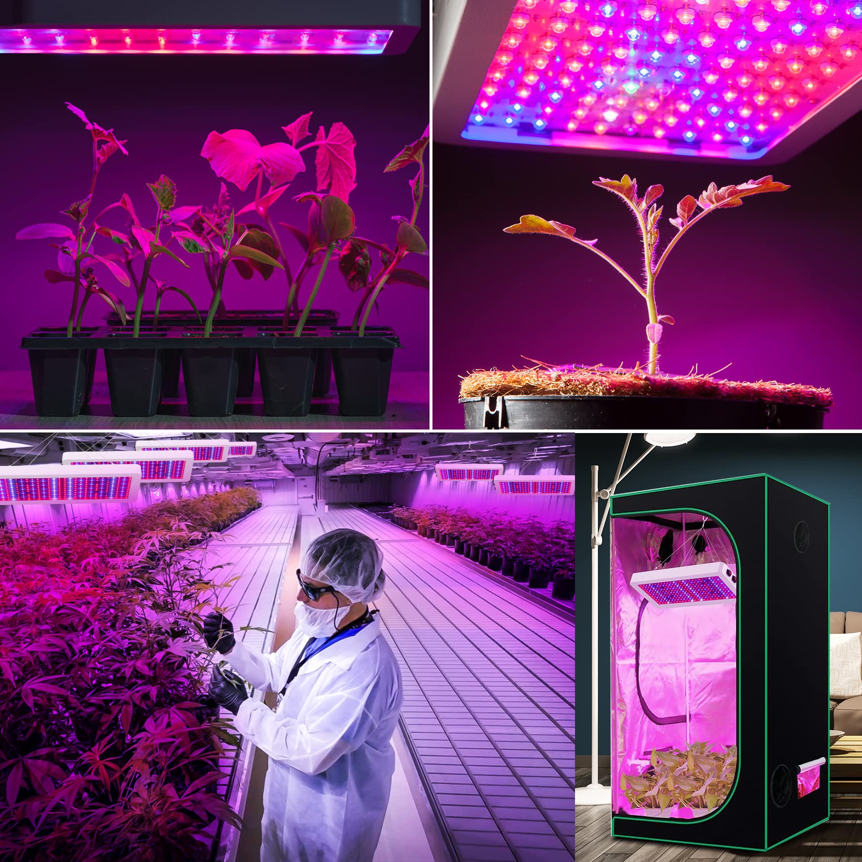 1000W LED Grow Light Timer Phyto Lamp Full Spectrum Lights For Plant ...