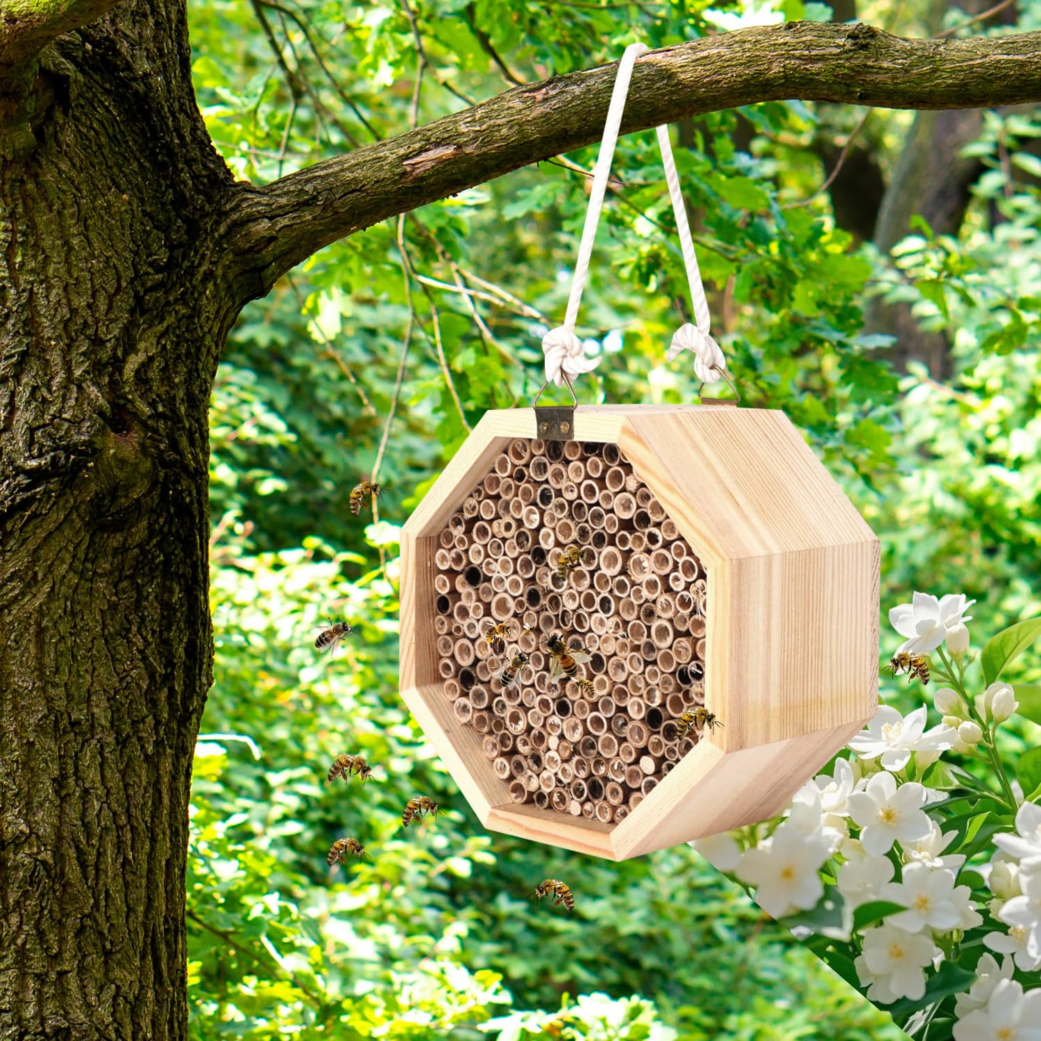 Hölzernes Bienenhaus, Sechseckiger Bienenlebensraum Hölzernes Lnsektenhotel Hängender Wildbienenhotel für Bienen, Wildbienen, Marienkäfer & Schmetterlinge