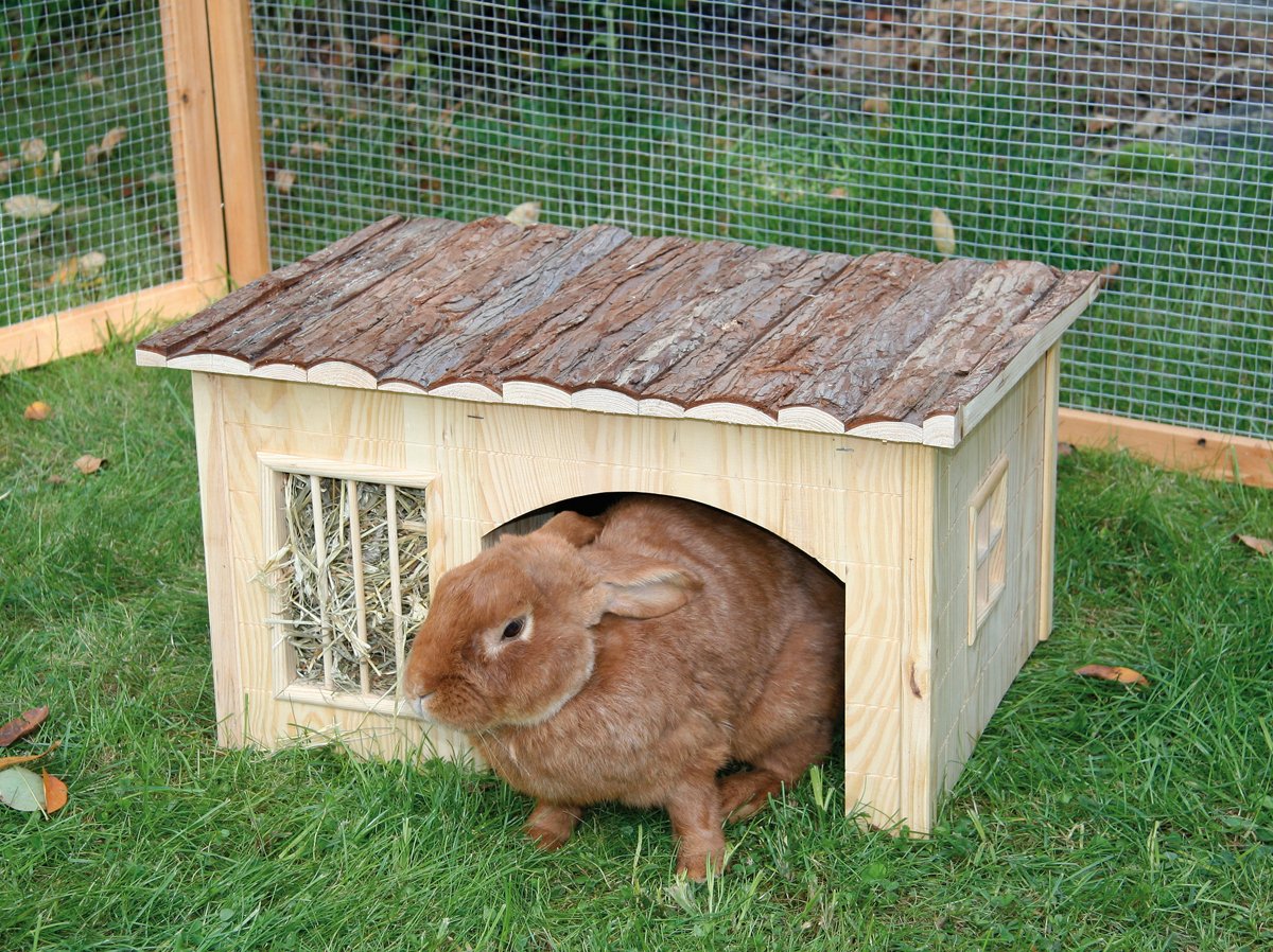 Kerbl Pet Maison pour rongeurs avec râtelier à Foin, Maison pour Petits Animaux, 54 x 41 x 30 cm, Bois Naturel, Lapins, lièvres