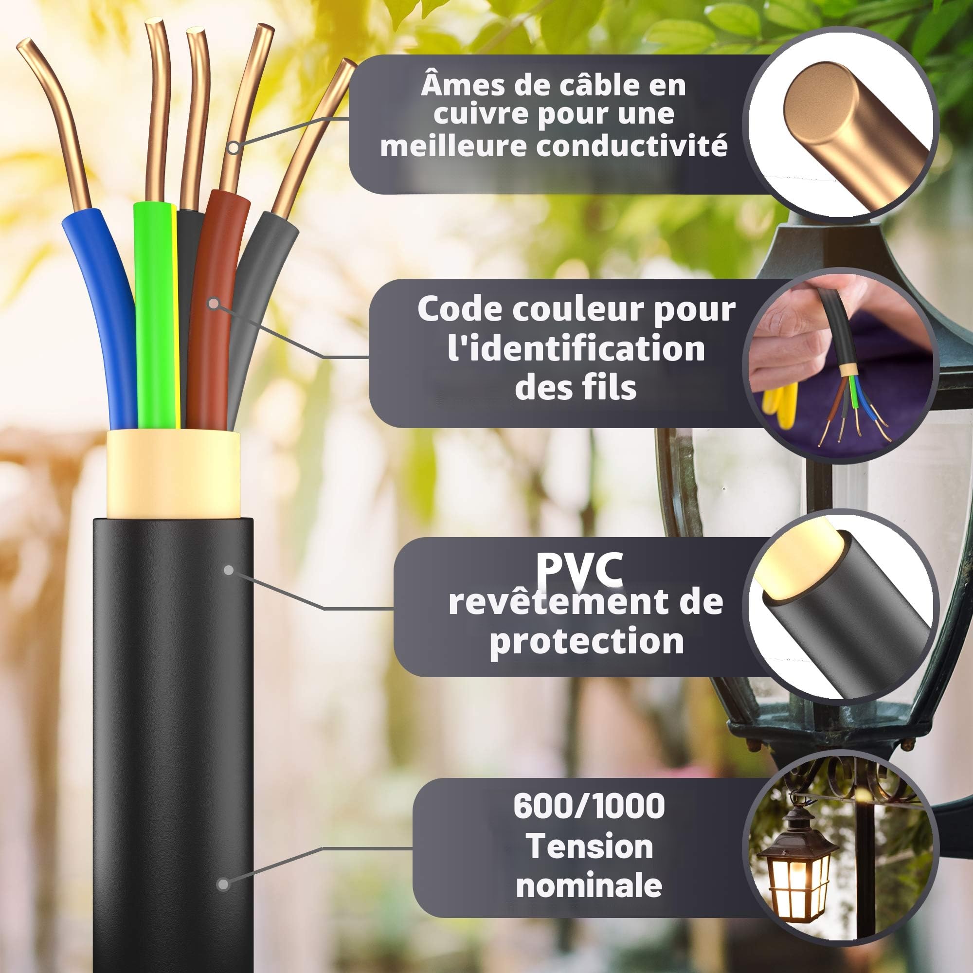 Câble électrique souterrain, type NYY-J 5 x 6 mm², disponible en 5, 10, 15, 20, 25, 30, 35, 40 ou 50 m, avec anneau, pour la pose en extérieur et en terre, 30 m