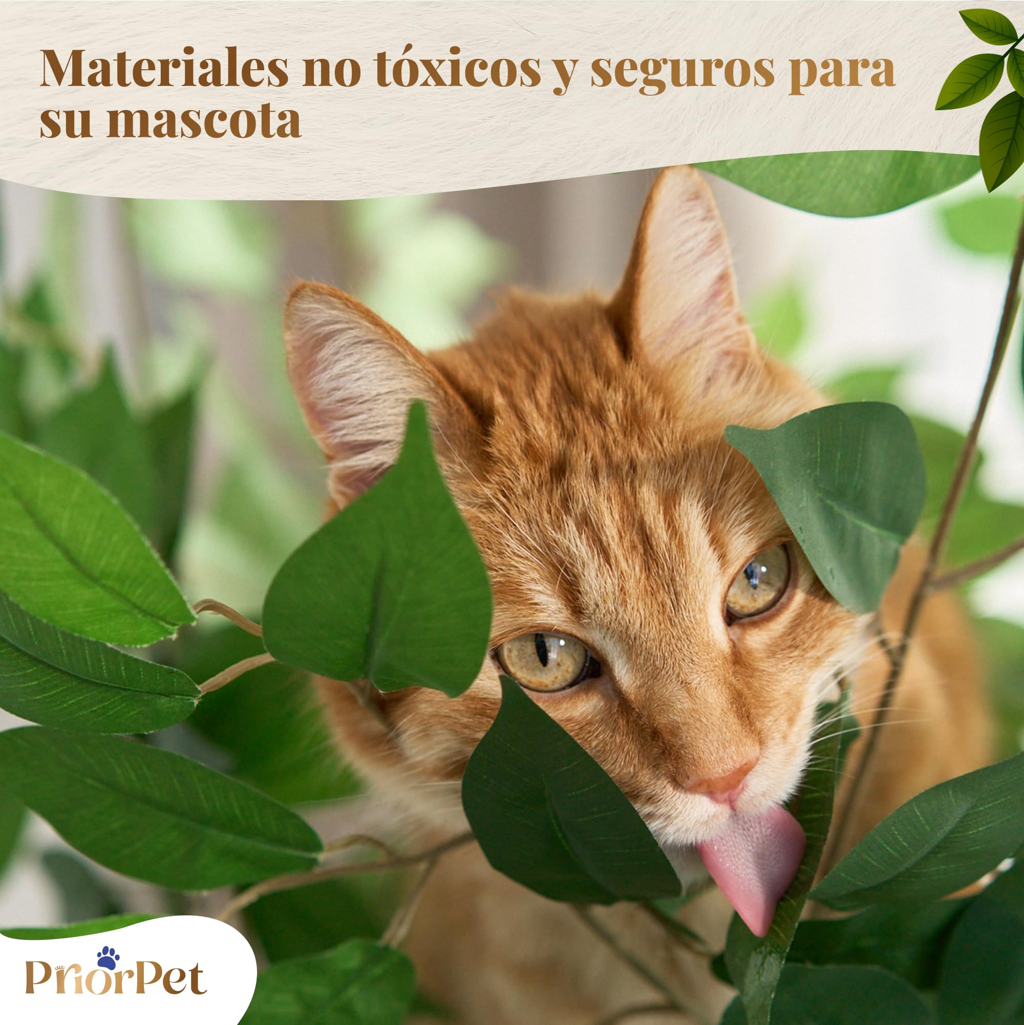Arbol rascador con Hojas Compacto y Estable para Gatos Grandes – 4 Niveles para trepar, rascar y Descansar – Hojas seguras – Fácil Montaje – Materiales Resistentes y Aptos para Mascotas – 160CM