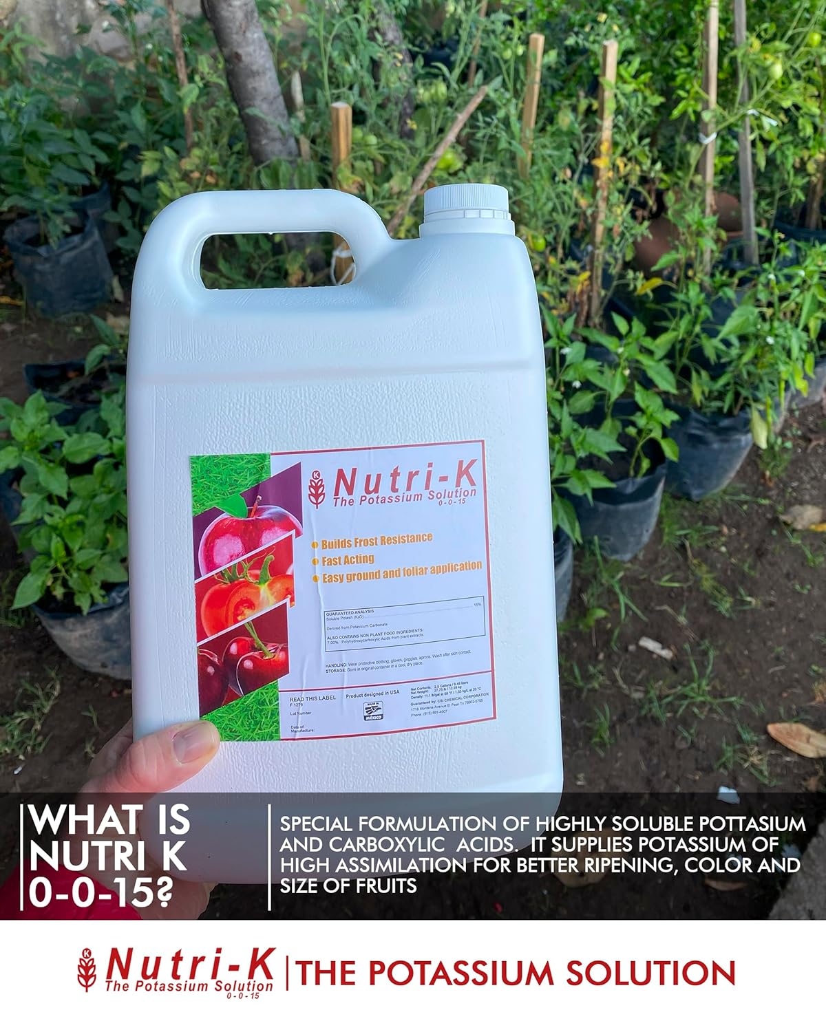 Nutri K Potassium Fertilizer for Plants - Enhances Flow & Uptake for Potting Soil Indoor Plants - Corrects Deficiencies & Prevents Blotchy Ripening in Fruits & Vegetables - 2.5 Gallons