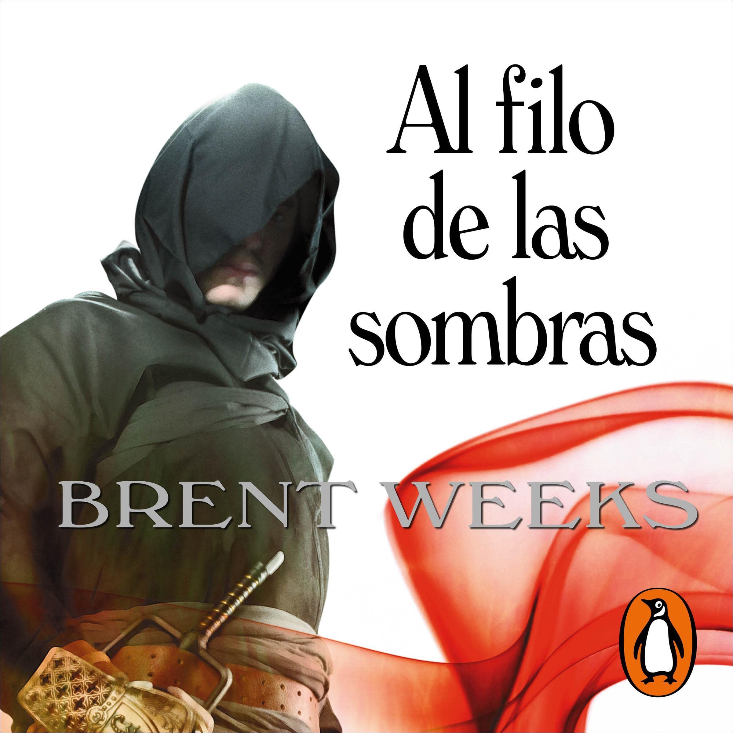 Cover art for Al filo de las sombras [Shadow's Edge]