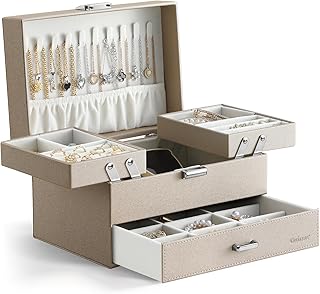 Dajasan Schmuckaufbewahrung, Schmuckkasten Groß, Schmuckkästchen PU-Leder für Valentinstag, Muttertag, Weihnachten, Geburtstagsgeschenk (Champagnerfarben)