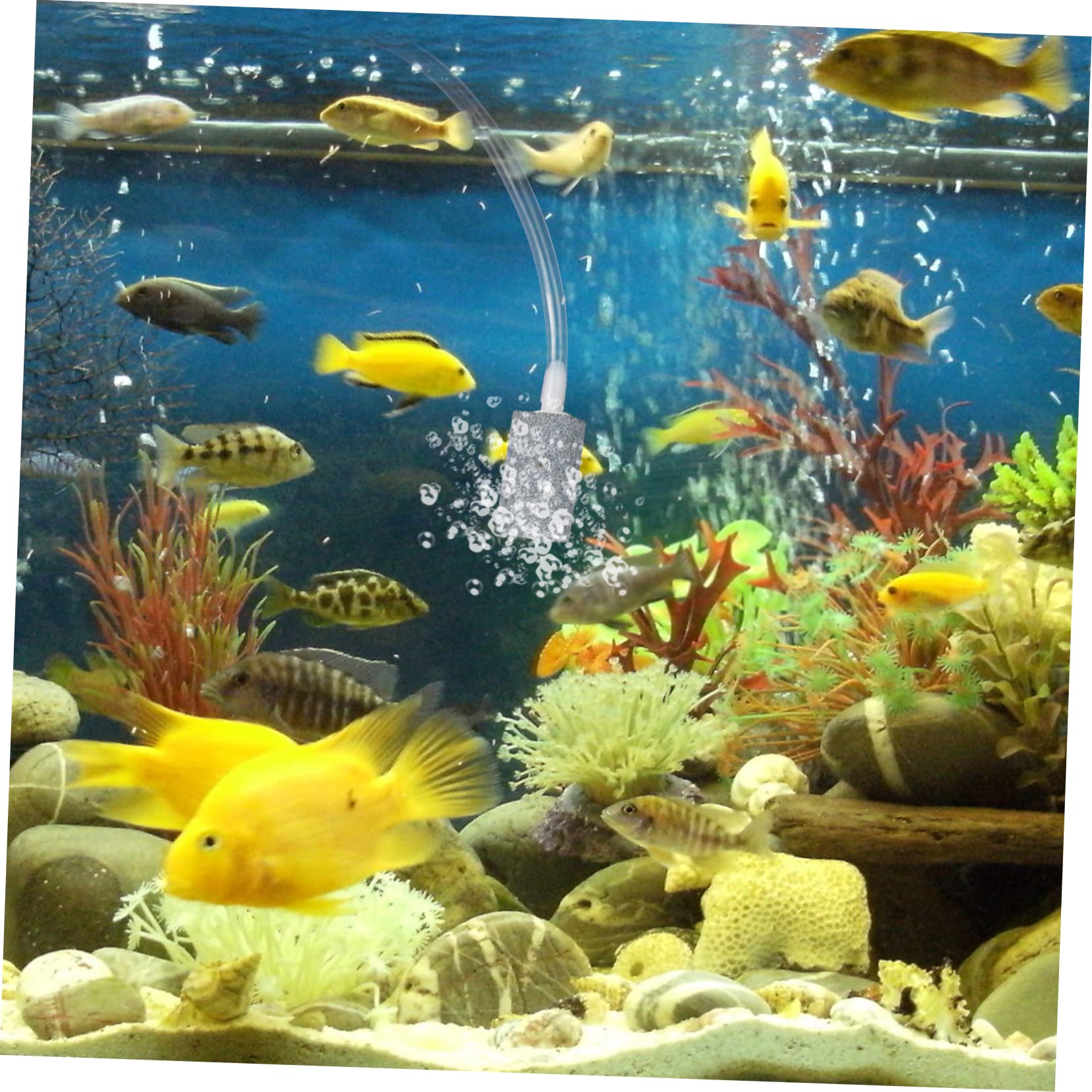 Toddmomy 3piezas Bomba De Portátil USB para Acuarios Aireador Silencioso Gran Desplazamiento para Peceras y Actividades De Pesca Generación Estable De Burbujas