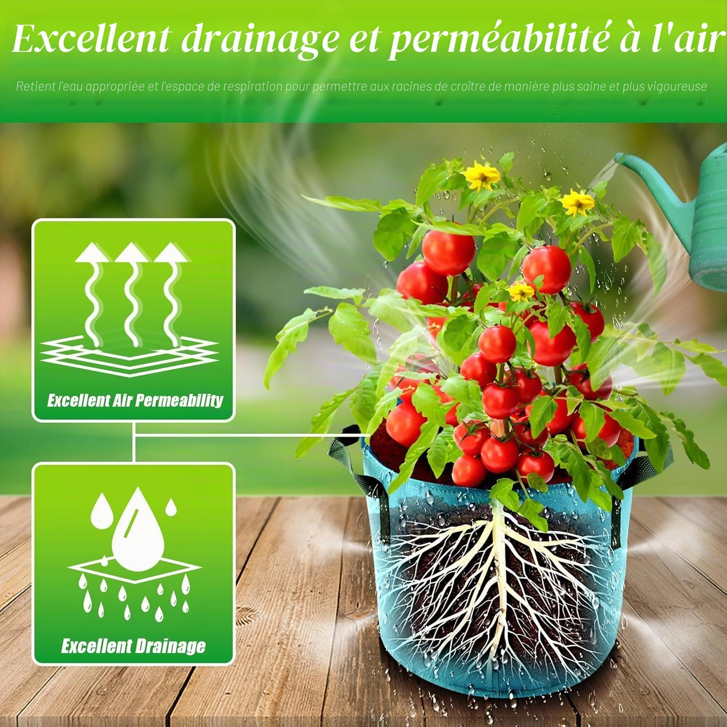 LATERN 7 Pièces 10 Gallons Sacs de Culture pour Plantes, 7 Couleurs Sacs de Culture en Tissu Non Tissé Respirant Épaissis Conteneurs avec Aération des Racines avec Poignée pour Fleurs Légumes Fruits