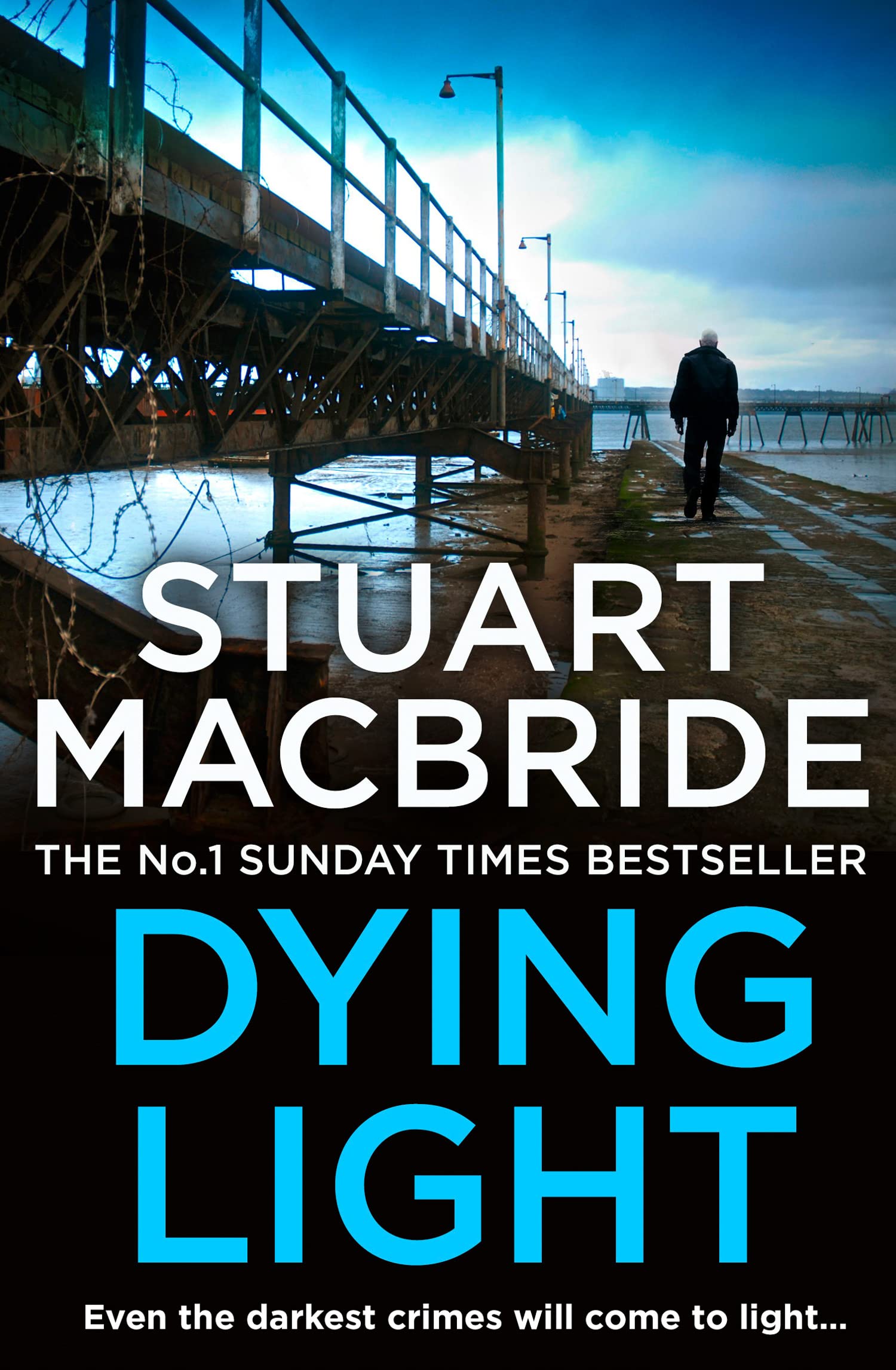 Dying Light (Logan McRae),Stuart MacBride