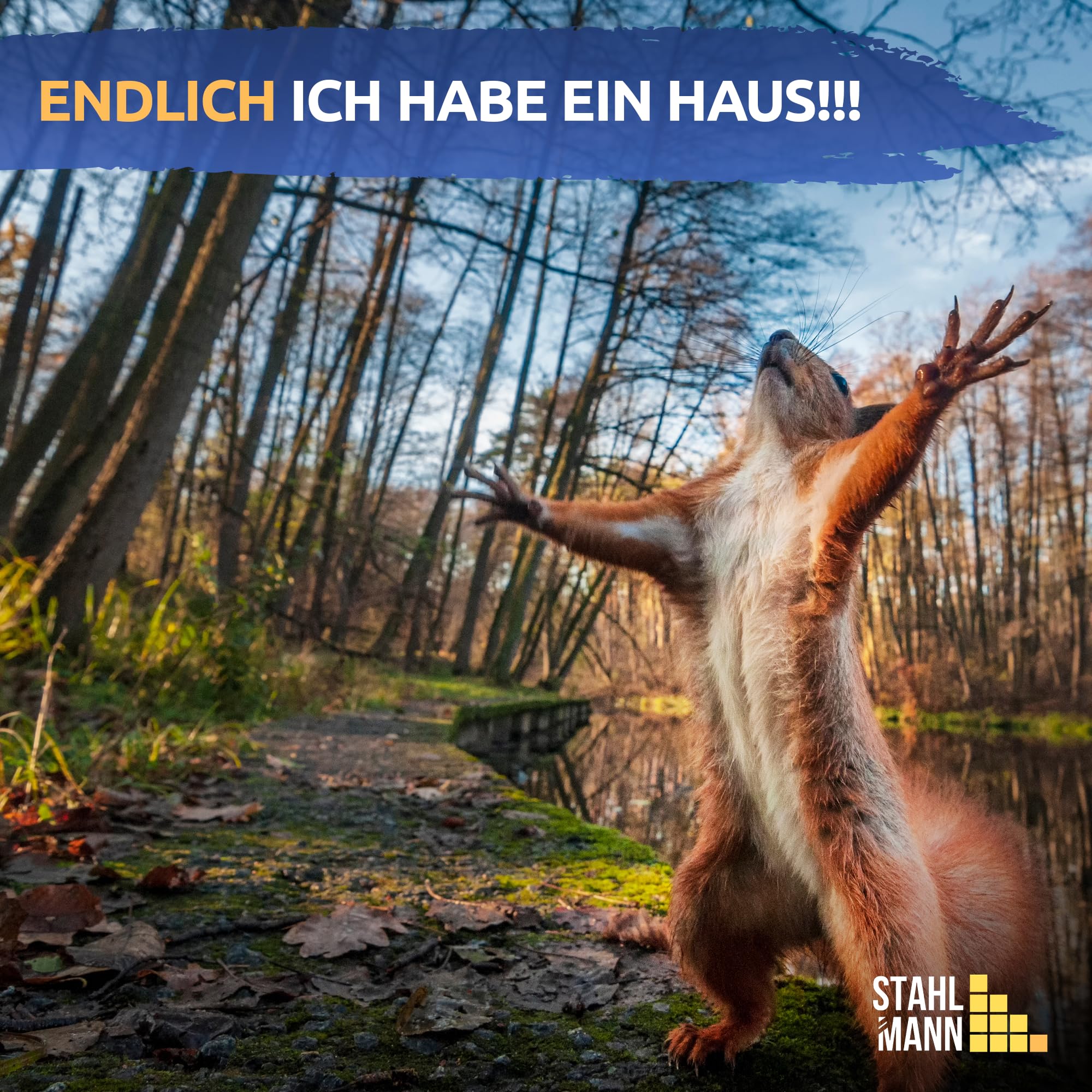 STAHLMANN® XXL Eichhörnchen Futterhaus [inkl. 500 g Eichhörnchenfutter] - Futterstelle zum Aufhängen [AUS WETTERFESTEM KIEFERNHOLZ] - Futterbox für Eichhörnchen und ihre Jungtiere