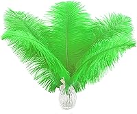 Vista 72 de 24 piezas de plumas de avestruz blanco natural de 10-12 pulgadas (25-30cm) para centros de mesa de bodas y fiestas, arreglos florales y decoración