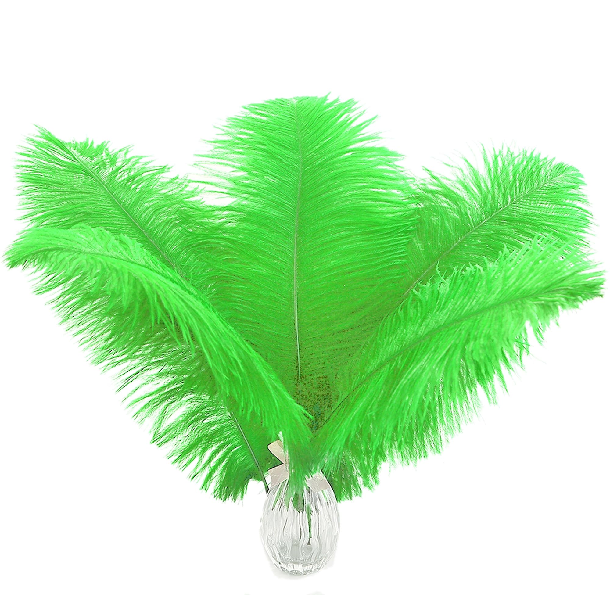 Plumes d'autruche vert citron de 30 cm pour sublimer votre decoration de maison de vacances