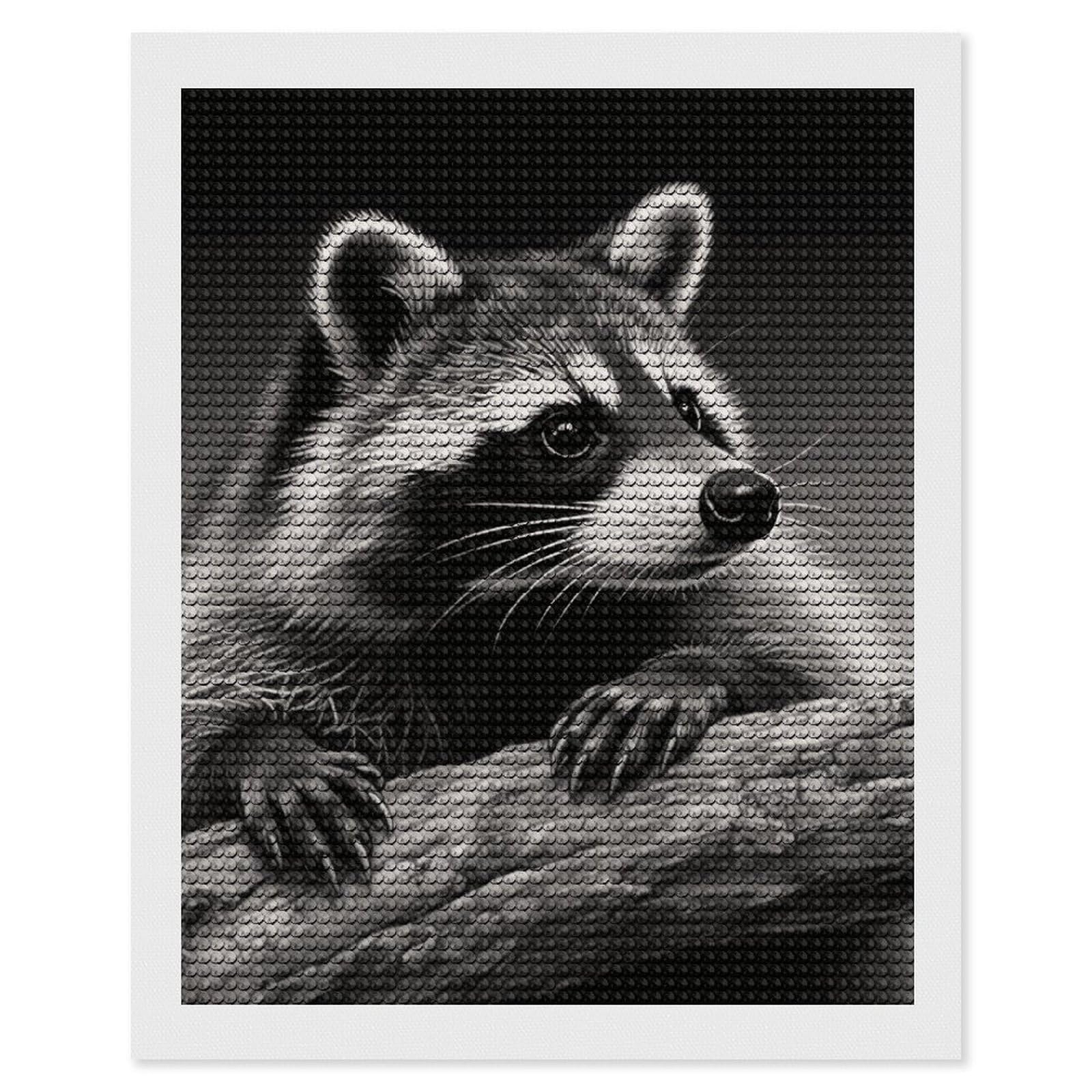 FodPand Raccoon Black 5D Diamond Painting Kits for Adults Beginners Full Drill Round Diamond Dots Pictures Gem Art Supplies for Home Wall Room Decoration DIY Craft Set Gift 16x20
