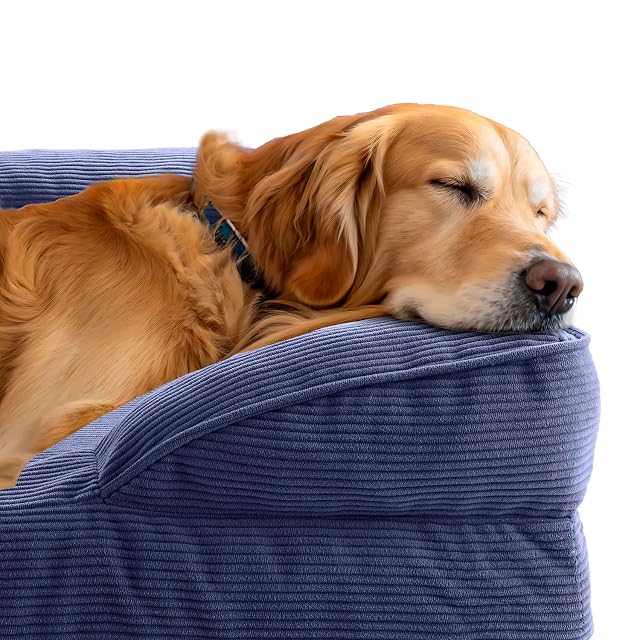 Foto 3 de 5 de Lumaland Cama ortopédica para Perros de Pana