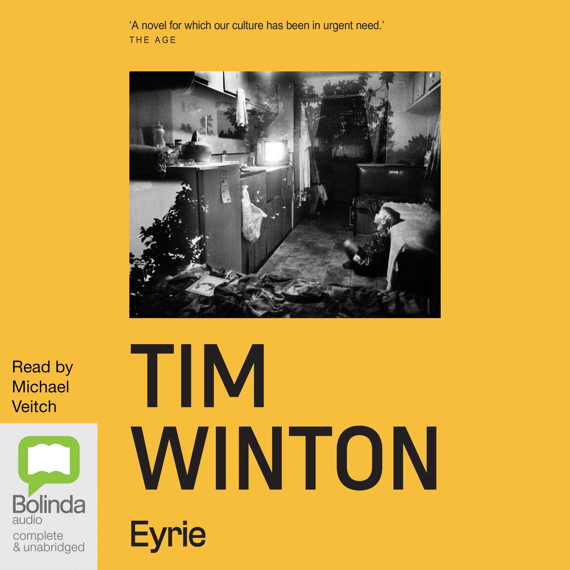 Cover art for Eyrie