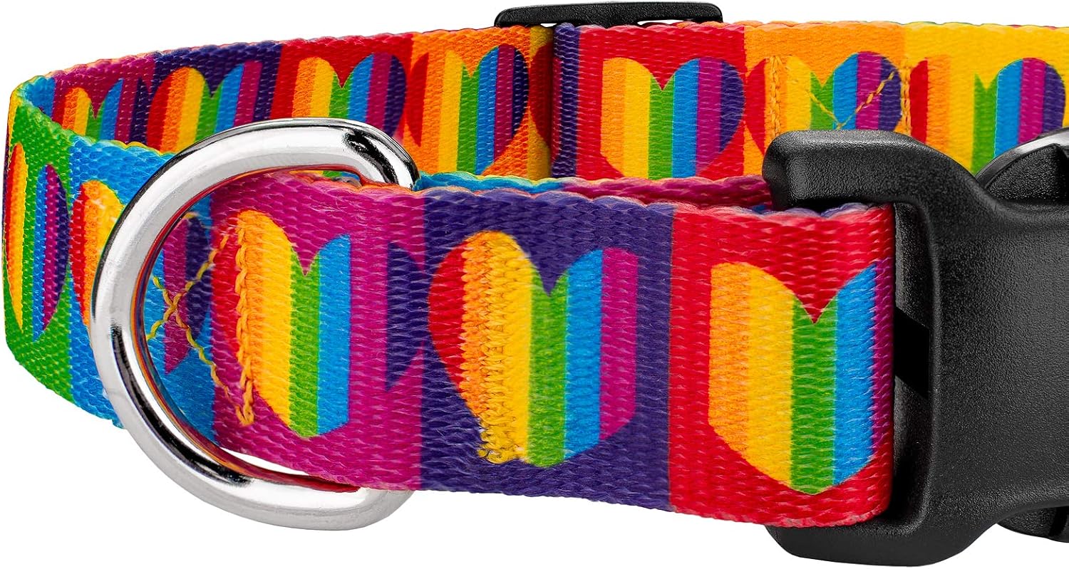 Country Brook Petz - Rainbow Hearts Everyday Dog Collar and Leash - Affection Collection Featuring Designs You'll Adore (1 Inch, Large)