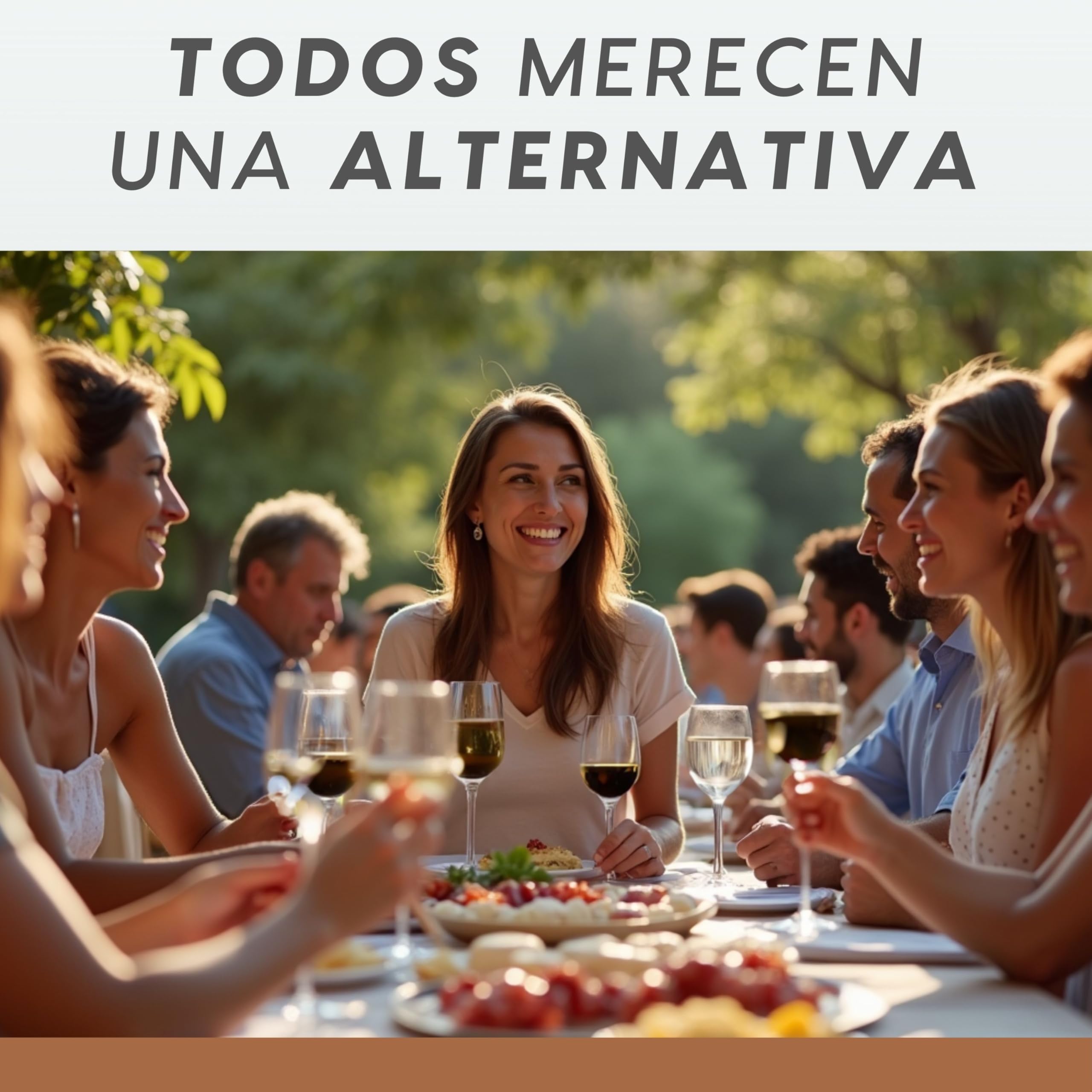 ALTERNATIVA Vino Tinto Sin Alcohol 0,0% - Pack de 6 Botellas de 750ml - Perfecto para Celebraciones, Regalos