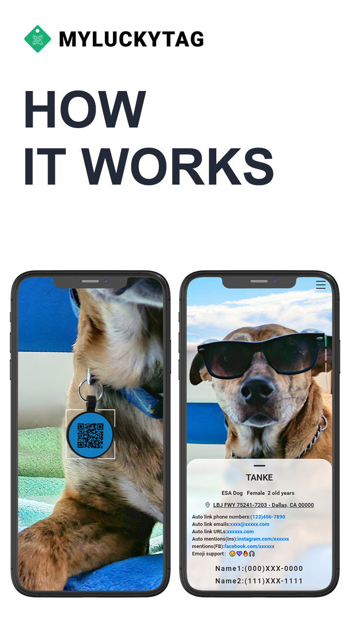 MYLUCKYTAG Stainless Steel QR Code Pet ID Tags Dog Tags Pet Online