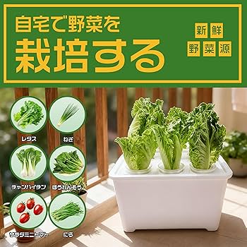 Amazon｜【自宅で簡単水耕栽培】水耕栽培キット 6穴 無土壌栽培