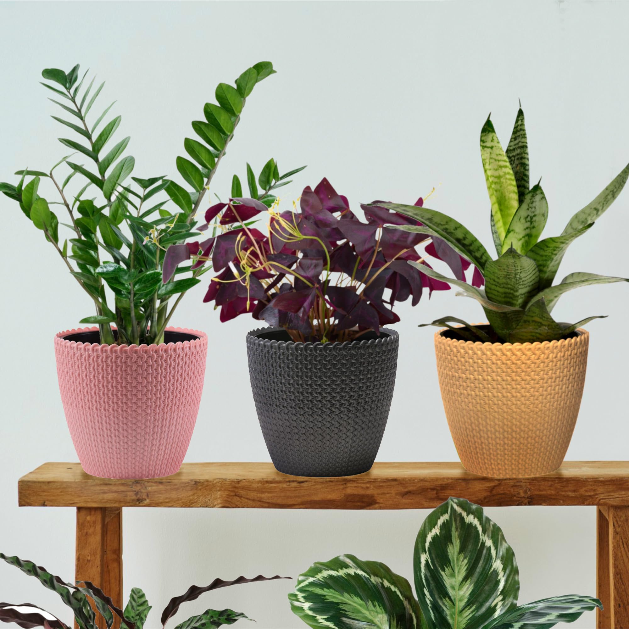 DOAP Decorative Planter Set - Self Watering Pots -2