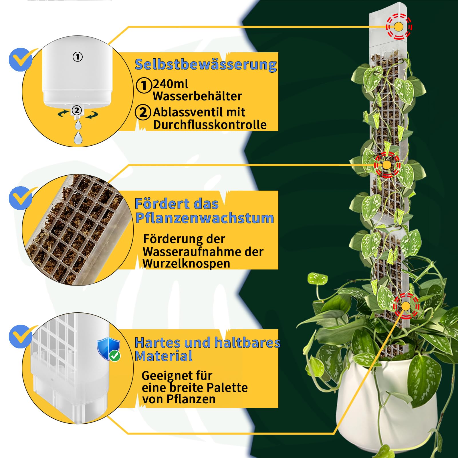 BDHHFAM Self-Watering Moss Stick D Shape, 4 x 44 cm Sturdy Plastic Plant Holder for Indoor Plants - Image 2