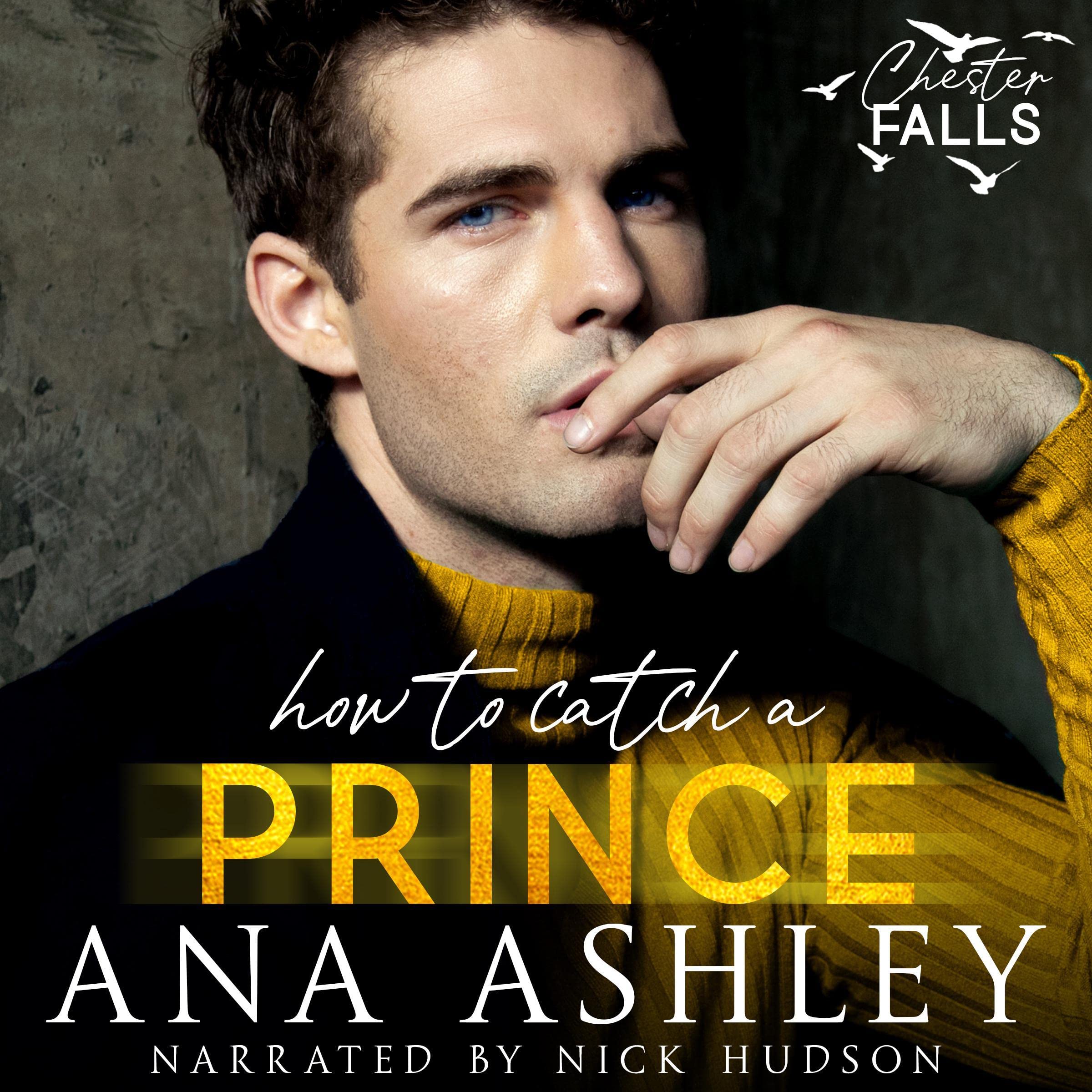 Cover art for How to Catch a Prince