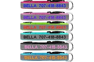Customizable Reflective Dog Collar: Enhanced Visibility and Personalized Protection
