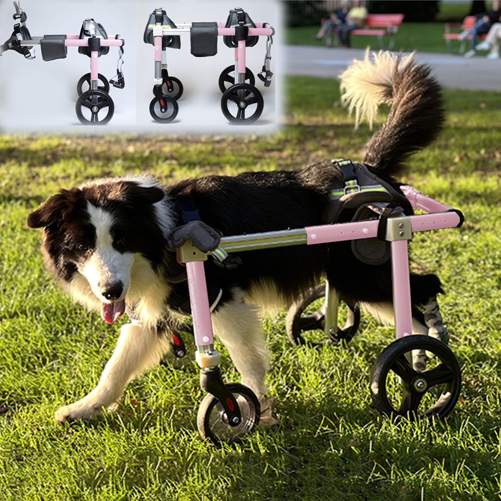 Generico Carrozzina per Cani Carrozzina per Cani di Grossa Taglia 4 Ruote/2 Ruote, Carrello di Supporto per Arti Posteriori per Animali Domestici di Taglia Media L/XL/XXL, Rimorchio per Bici per Cani