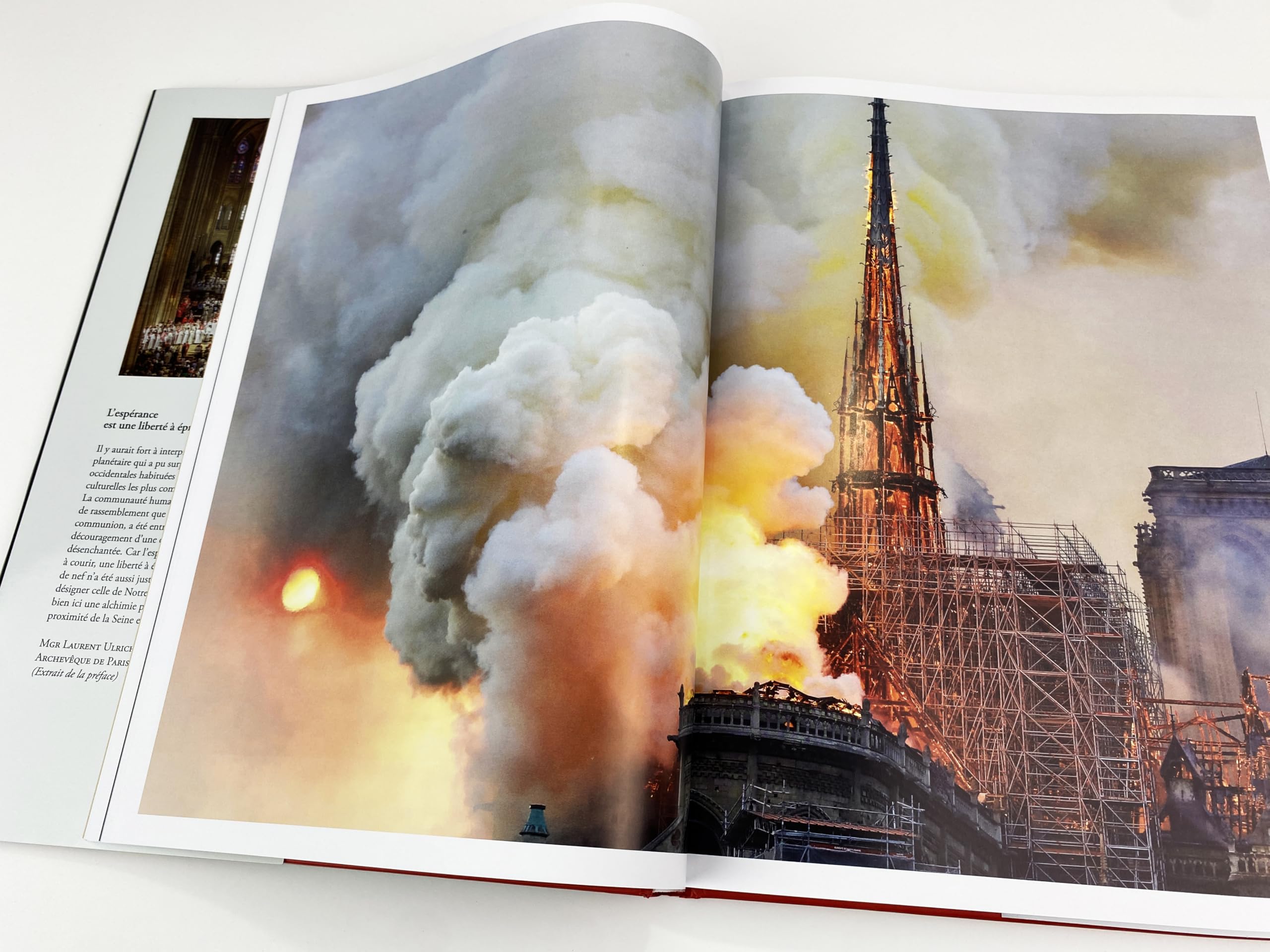 Les résurrections de Notre-Dame de Paris - Histoire, chantiers, ferveur