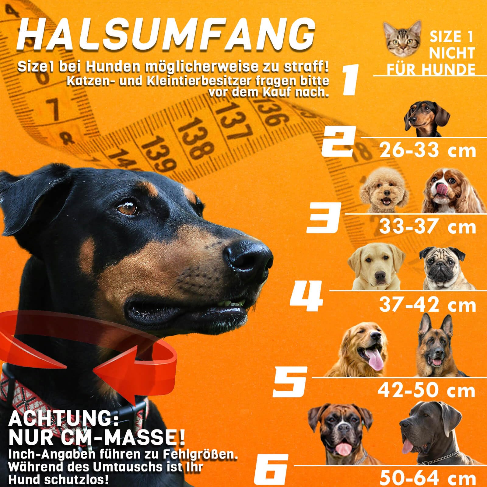 2 IN 1 Aufblasbare Halskrause Hund, nur f​ür Mittel- und Großhunde Entwickelt,Trichter Leckschutz Hund nach OP, Dog Cone, Halskrause Katze, Hunde Donut [Size 5]