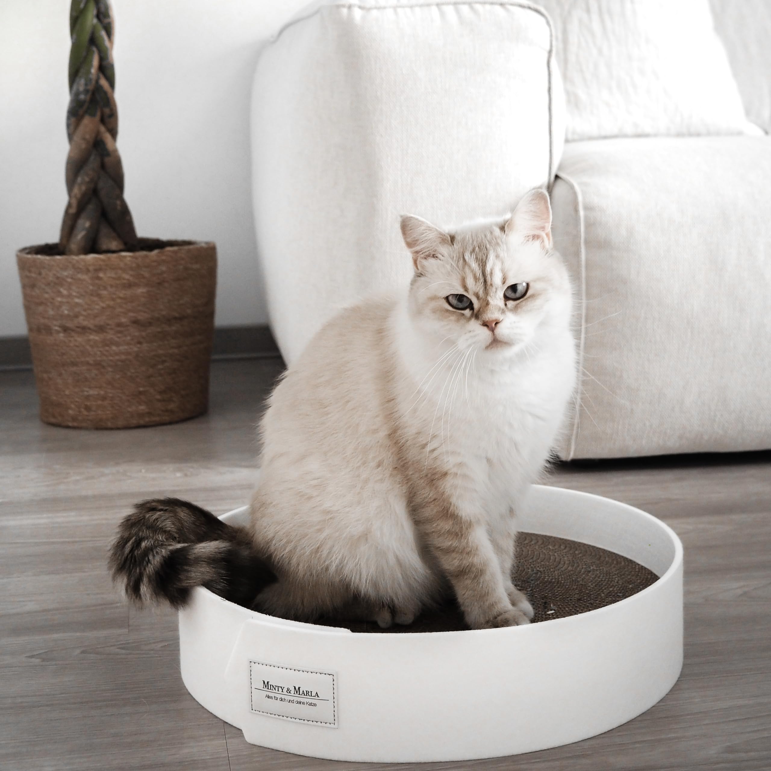 Minty&Marla® | Kratzbrett inkl. Katzenminze | Kratzmöbel für Katzen | Kratzpappe | Stylisches Kratzboard Katze | Katzenbett für Katzen mit Filzrand | Schlafplatz und Kratzmöglichkeit | Weiß