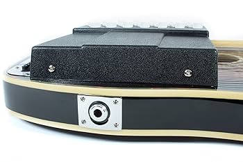 Amazon.com: Autoharp | Oscar Schmidt OS11021FE 電動自動豎琴