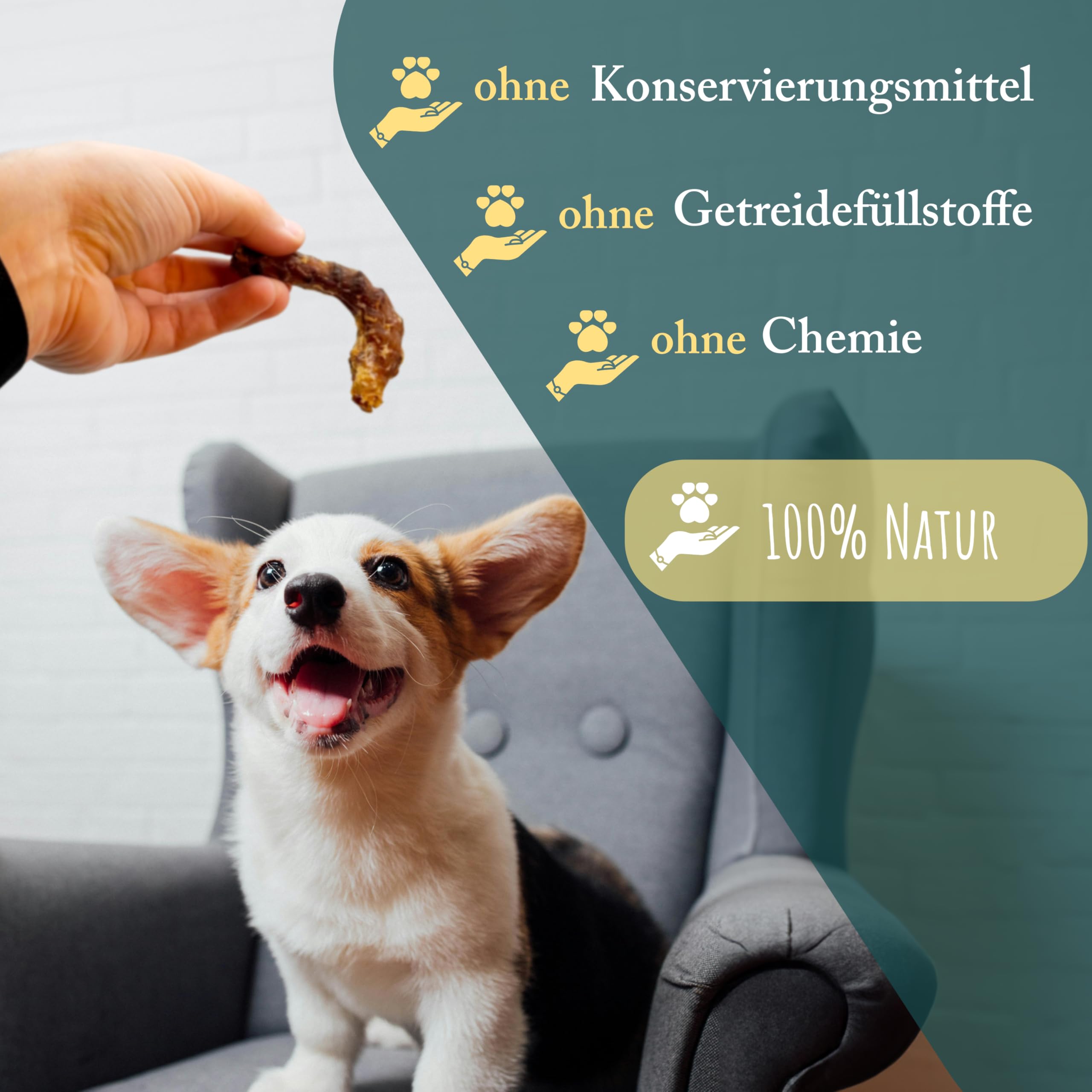 Colli di pollo per cani, 5 kg, naturali e di alta qualità, a basso contenuto di grassi e ricchi di proteine, articolo da masticare per la cura dei denti