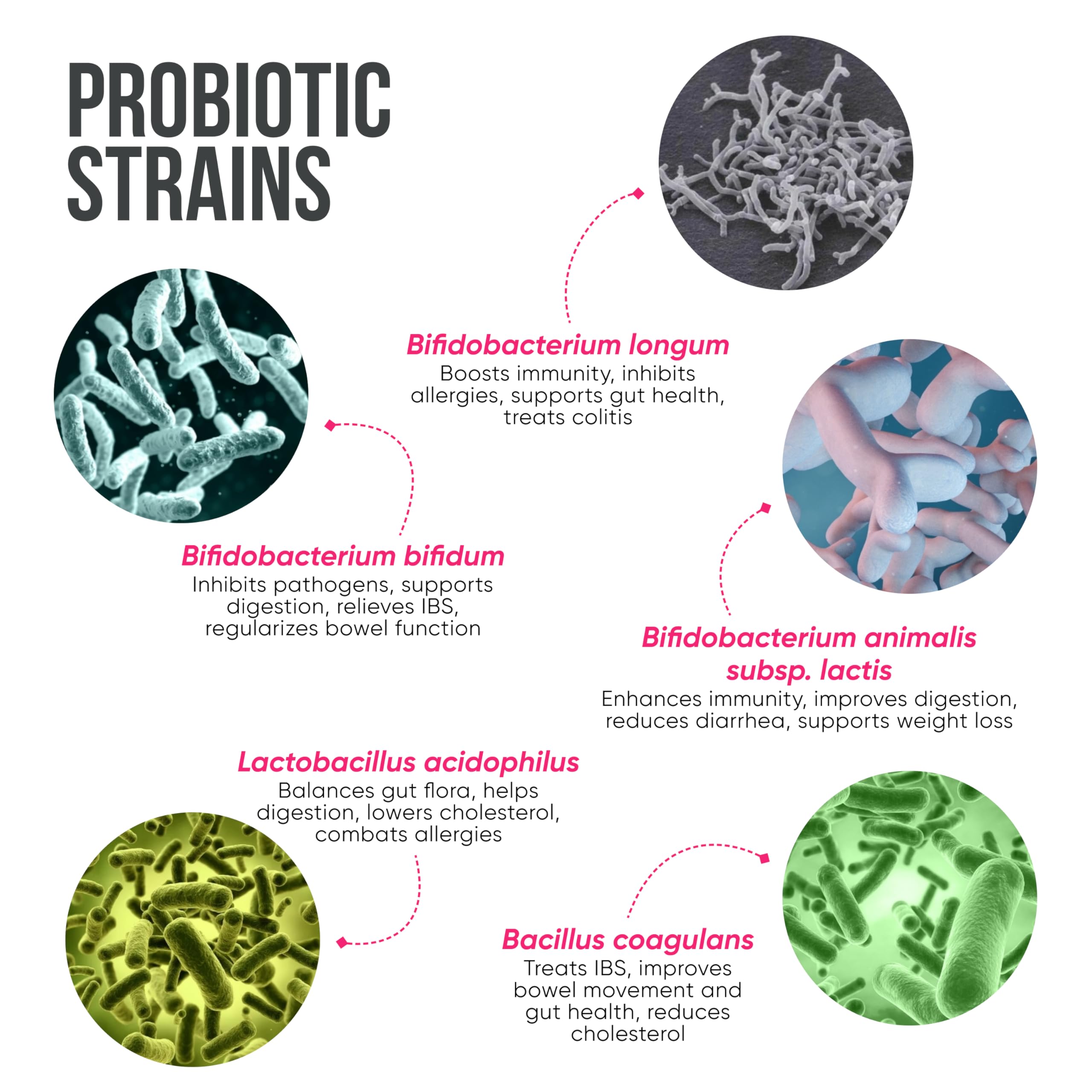Healing Hands GutBio Probiotics + KiwiBiotic Prebiotic Combo| Daily Gut Health & Immunity| 25 Bn CFU 10 Strains + Kiwifruit Nutrients & Fibers| Essential Probiotics, Vitamins, Antioxidants, Prebiotic Fibers| 15-Day — Amazon image 6