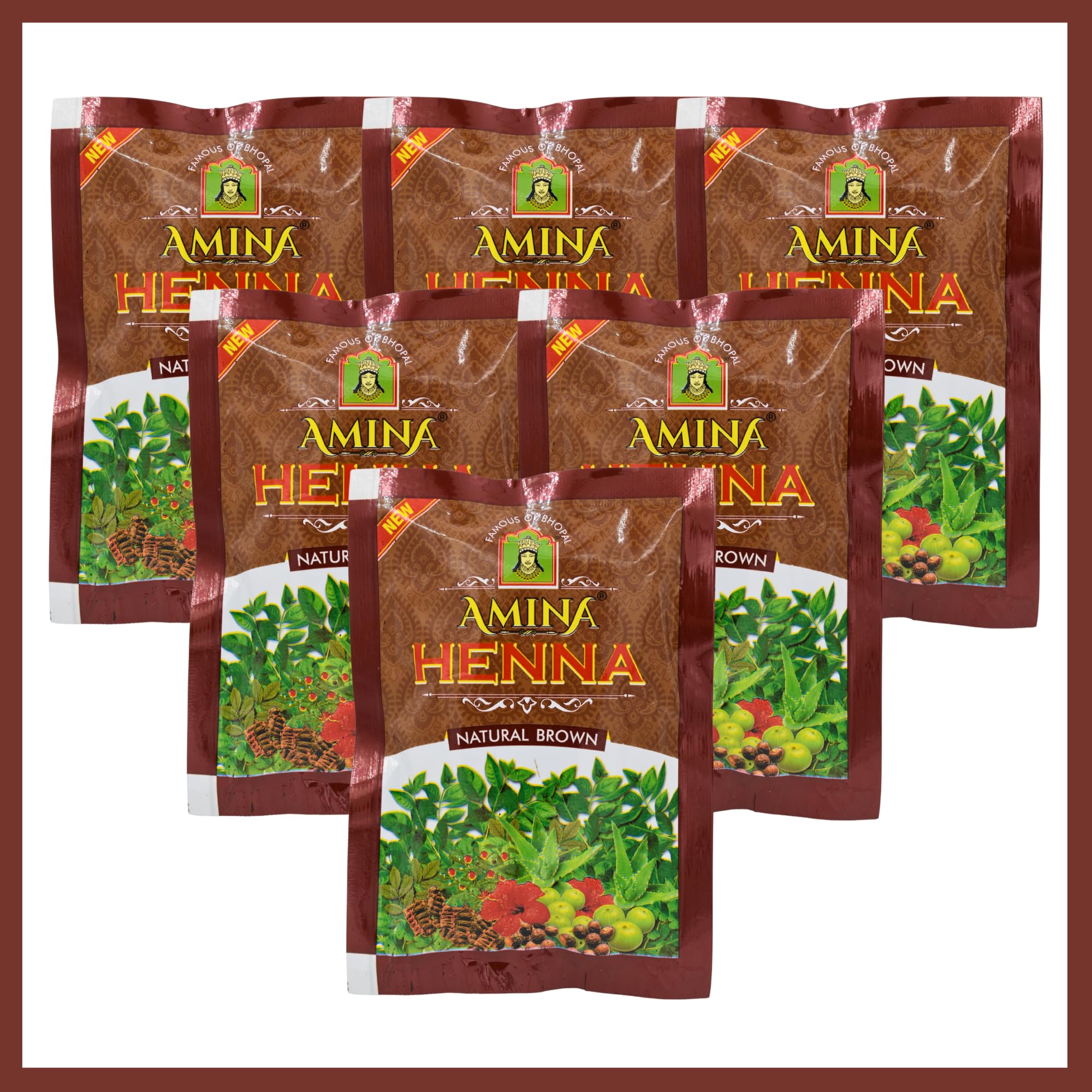 Amina Henna Unisex Natural Hair Color Mehndi (Pack of 6, Natural Brown)