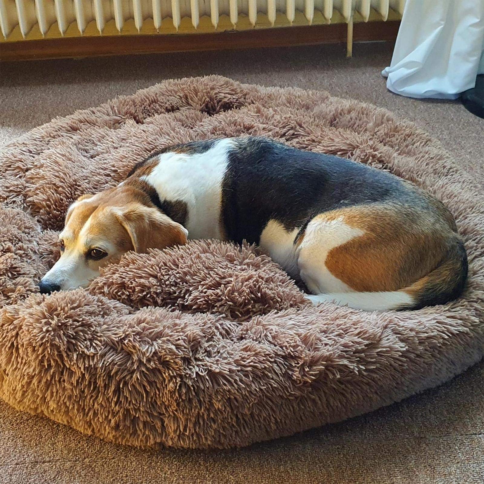 LINRUI Hundebett XXL – Orthopädisches Donut-Sofa Mit Memory Foam, Waschbar, Kuschelig Weich