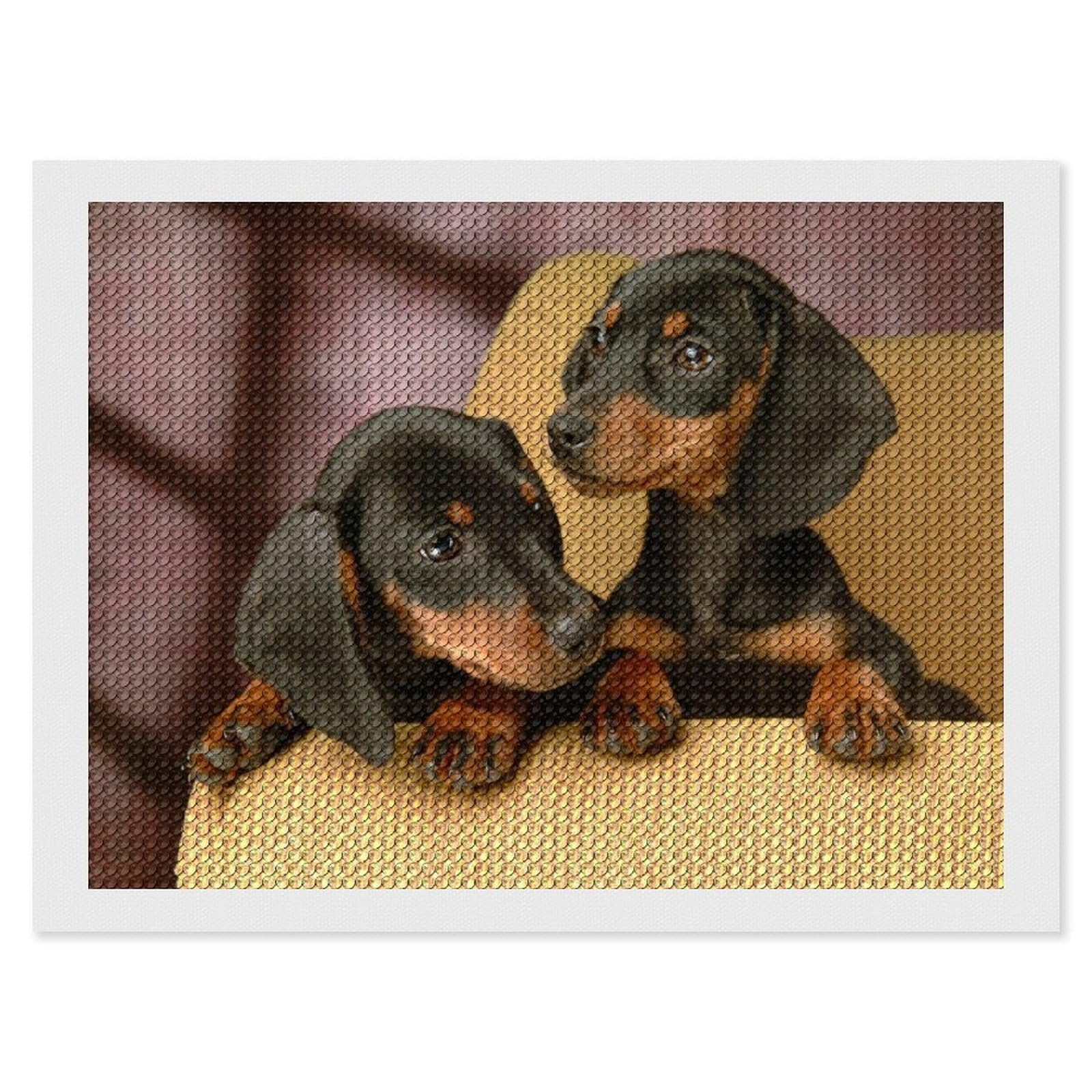 Amazon | ダックスフンド 萌え 子犬 ダイヤモンドアートダイヤモンド