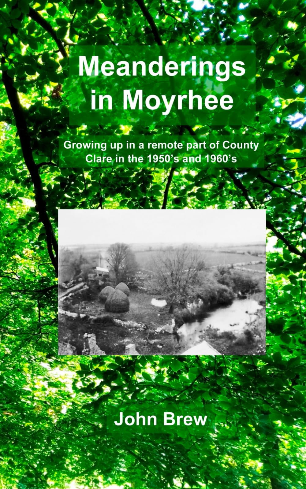 Meanderings in Moyrhee: Growing up in a remote part of County Clare in the 1950’s and 1960’s