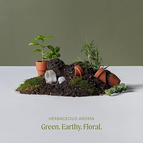 Miniatura 3 de Hohm Aceite esencial de salvia clara, aceite esencial puro sin diluir 100% natural, para difusor de tu hogar, 0.5 onzas, sin OMG y sin químicos,