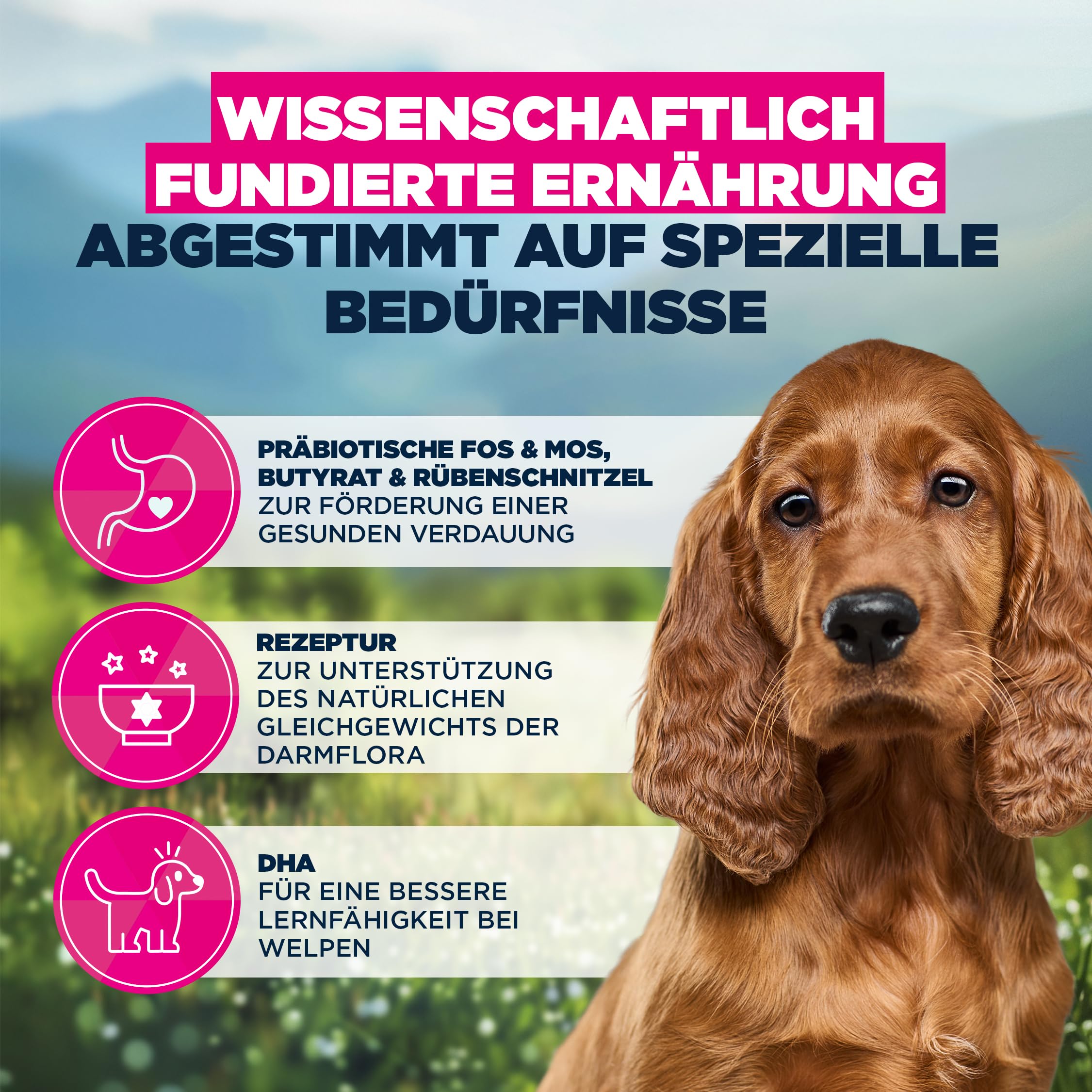 Eukanuba Sensitive Digestion Welpenfutter trocken mit Huhn & Reis, 12 kg | Special Care | Magenfreundliches Trockenfutter | für Junior Hunde mit sensibler Verdauung