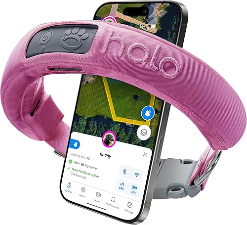 Halo Collar 3 (medianogrande, orquídea) Cerca GPS para perros Valla inalámbrica multifuncional para perros y collar de entrenamiento con