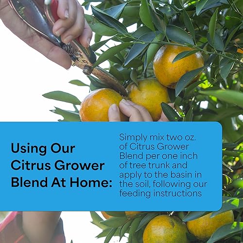 Miniatura 4 de Grow More 8086 Citrus Grower Blend Fertilizante, 20 oz