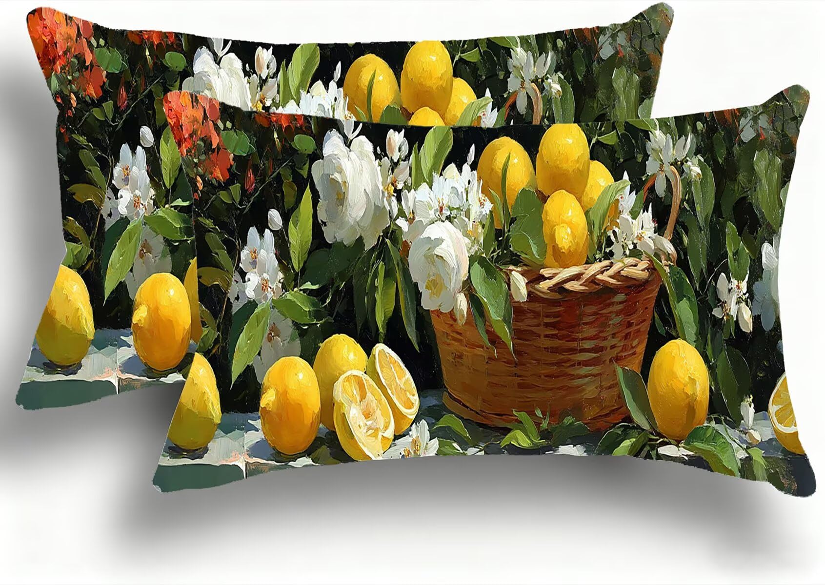 Taies d'oreiller décoratives en velours 30x60 cm pour housse coussin canapé lit W0VJ236